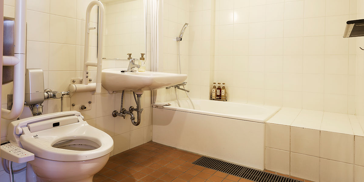 シルバーツイン